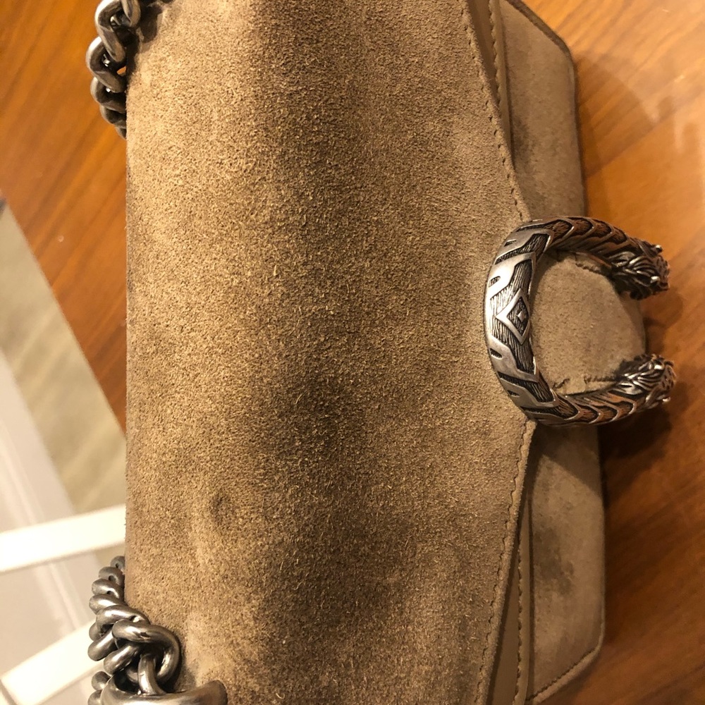 Additional photos Gucci Dionysus